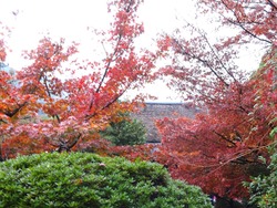 心田庵02-2