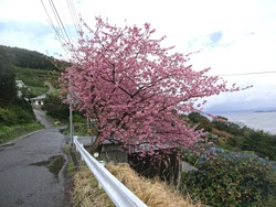 堂崎02