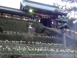 歴史文化博物館02-3