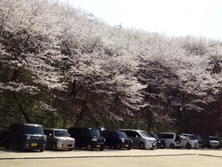 三川公園01-4