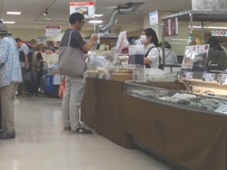 Ĺ���Ͳ�02-4