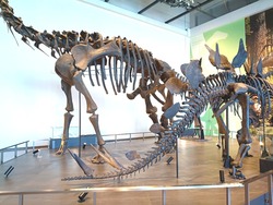 ��ε��ʪ��01-4