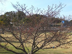久原公園01-2
