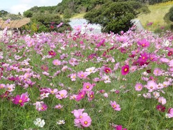 ������ε�02-3