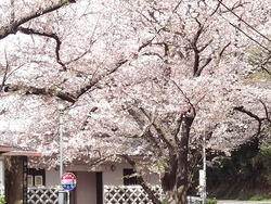和三郎公園01-2
