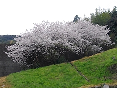 界町03