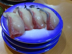 宝洋丸03-4