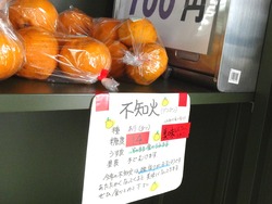 伊木力01-3