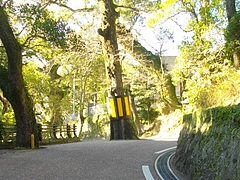 諏訪神社付近01