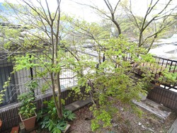 庭02-3