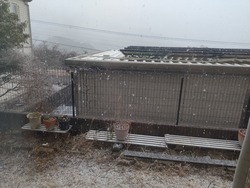 雪01