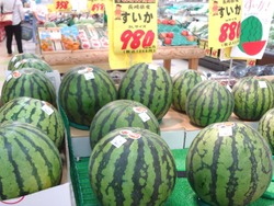 �Ϥޤ���01-3