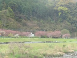 外海01-3