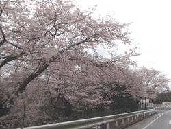 大村02-2