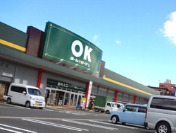 OK¿¼ËÙŹ01