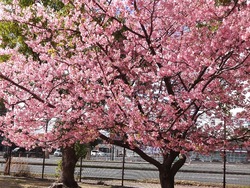 久原公園01-9