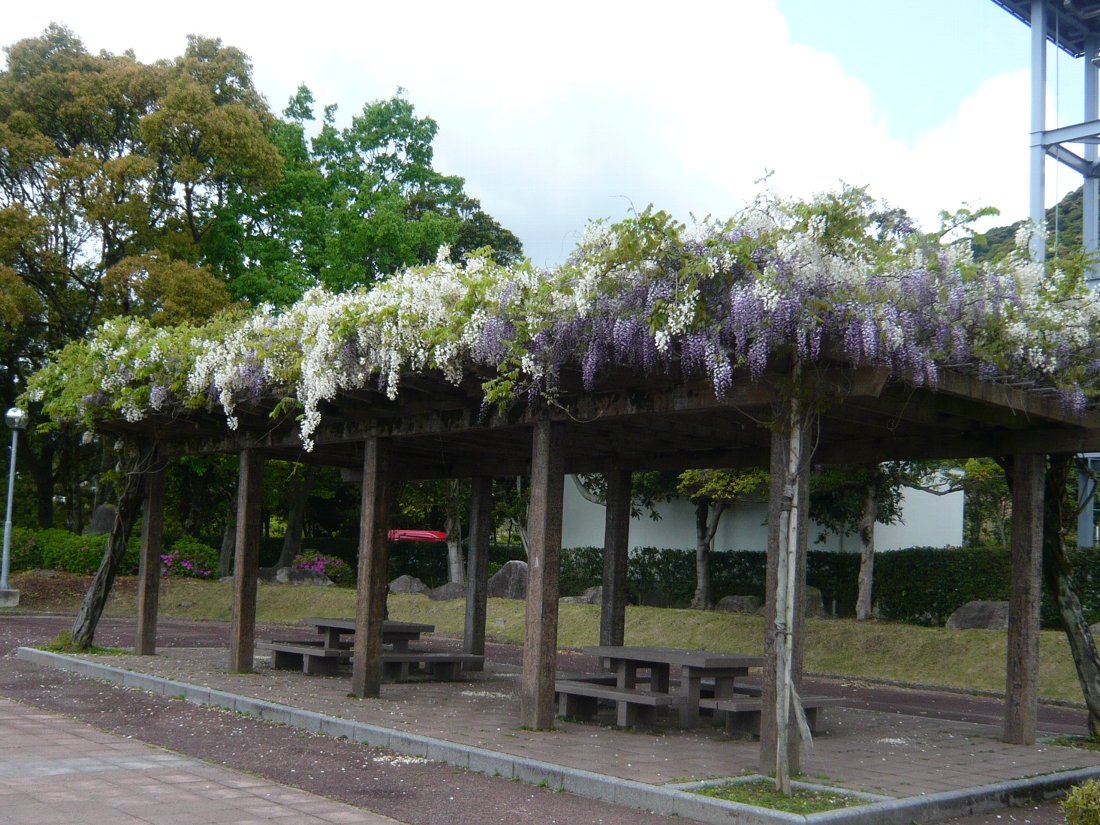 正しい休日の過ごし方 トリアス久山 は久しぶり Livedoor Blog ブログ