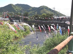 �项��01-2
