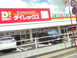 ダイレックス01-2
