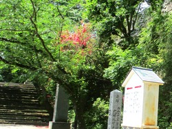 Â缸ø±à01-8