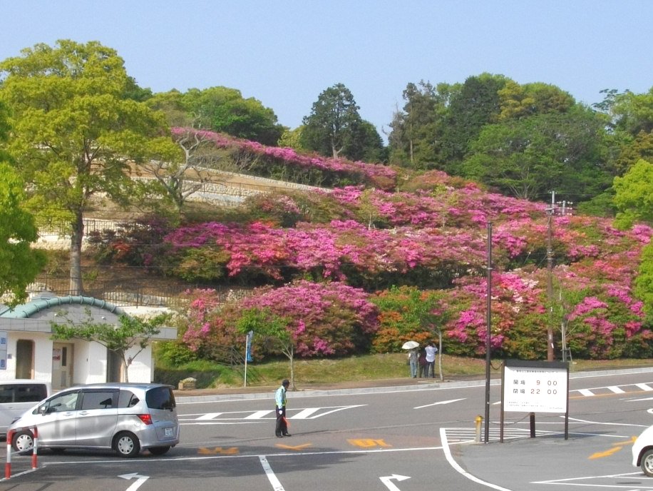 正しい休日の過ごし方 稲佐山のつつじ Livedoor Blog ブログ