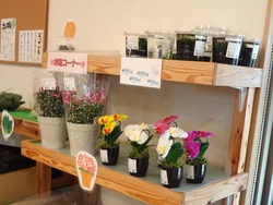 三浦線海沿いマルシェ02-4