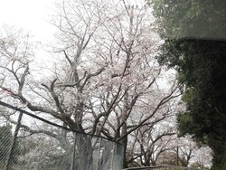 和三郎公園01-4