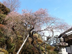 鍋島邸02-9
