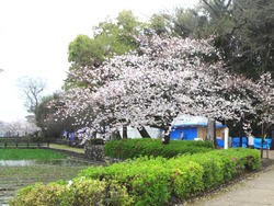 大村公園01-3