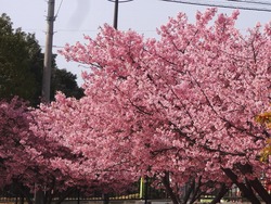 久原公園01-4