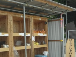 ������01