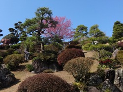 神代小路03-5