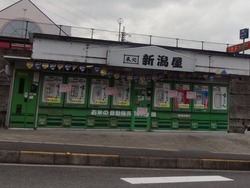 ���ƽꡦ�丫Į01-2