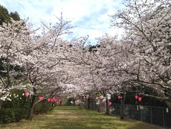 新戸町01-8