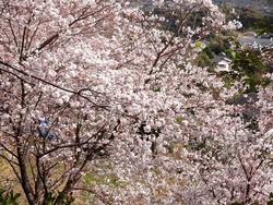 中尾城公園02-2