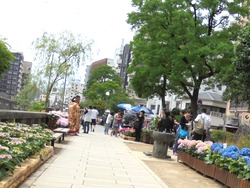 中島川01-6