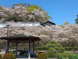 大村公園01-9