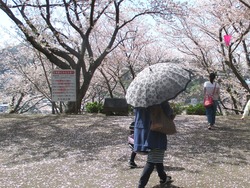 ���������01-5