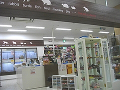 ���å���