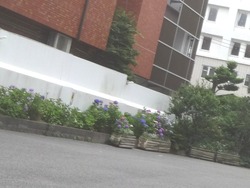 浜町02-3