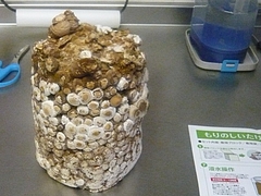 ��������02