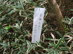 �ж�02