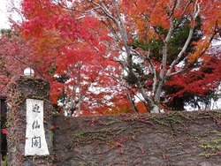 迎仙閣02-2
