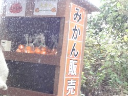 伊木力01-2