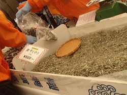 �建�ù�������02-7