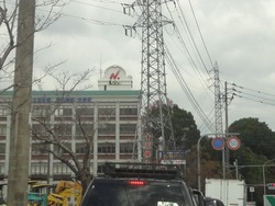 長崎日大