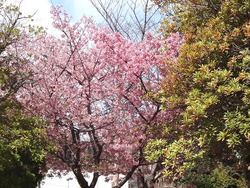久原公園01-5