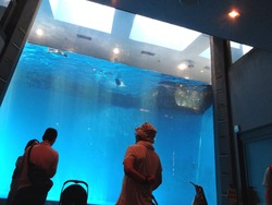 ペンギン水族館03-4