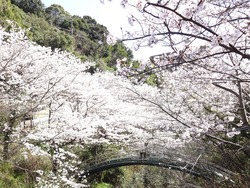 西山ダム公園02-2