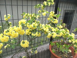 庭02-6